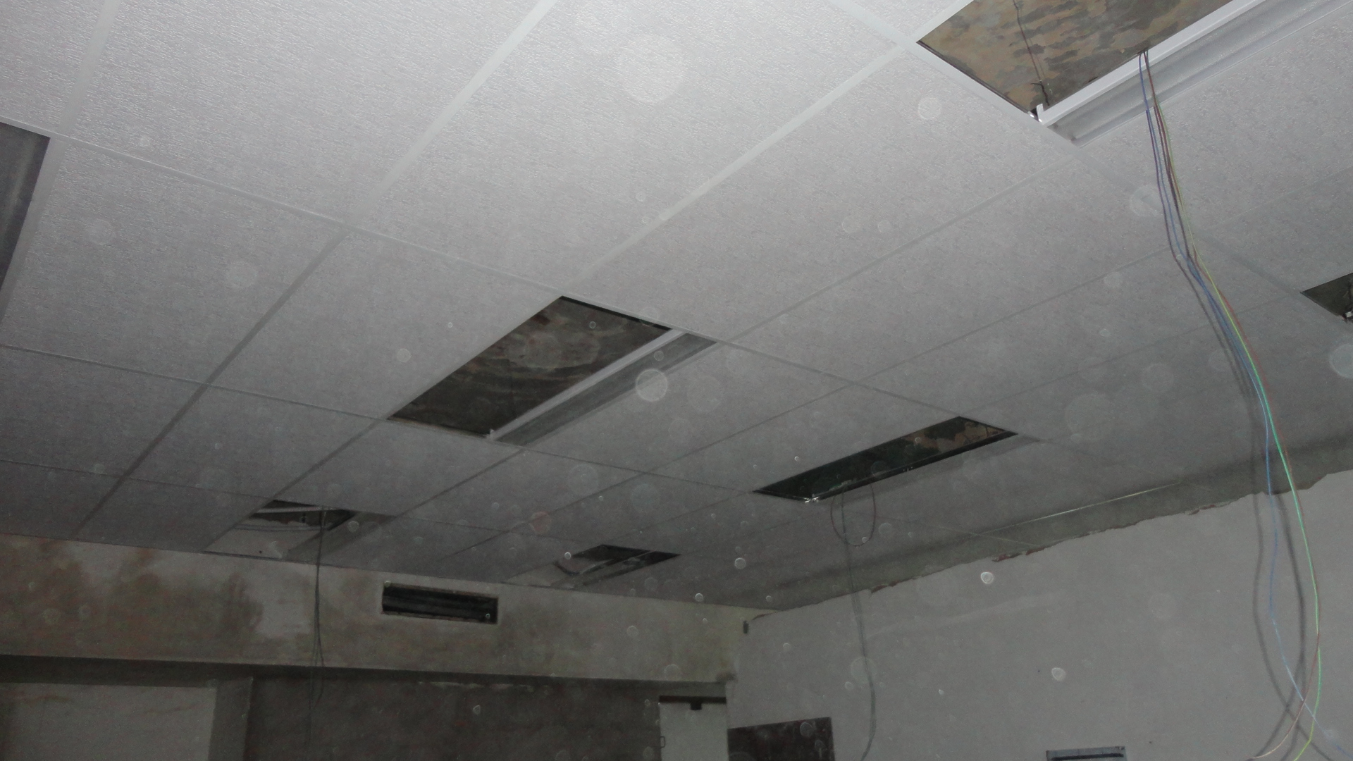 Nivelado cielorraso desmontable